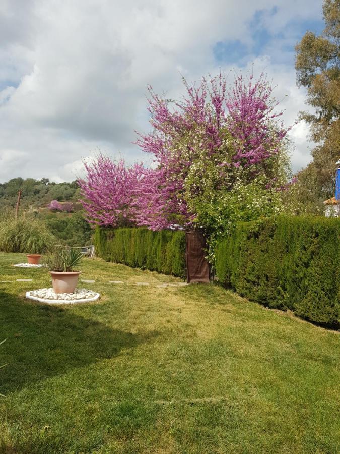 Hotel Casa Grande Constantina Kültér fotó